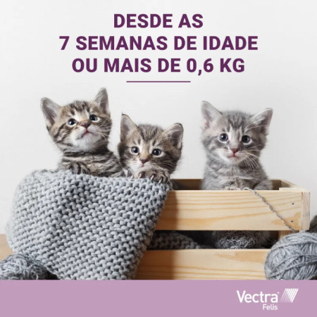 Vectra 3D Pipetas para gatos - O antiparasitário de última geração!