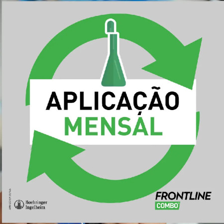 Frontline Combo pipetas para gatos e furões