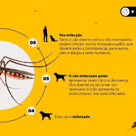 Scalibor Coleira - Protege 1 ano contra mosquitos!
