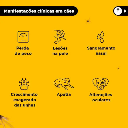 Scalibor Coleira - Protege 1 ano contra mosquitos!