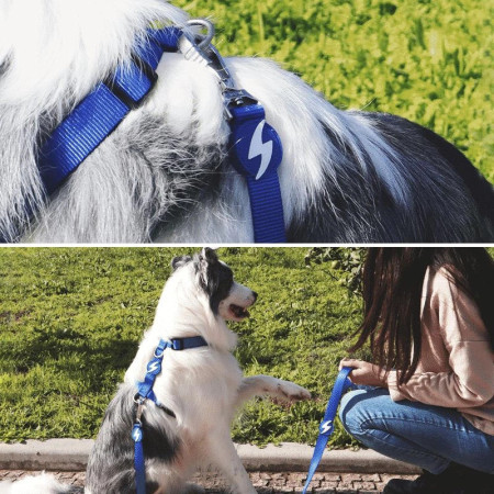 Dashi Trela Solid 15 mm azul