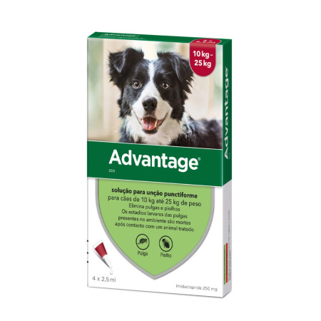 Advantage Pipetas para cão 10 - 25 kg
