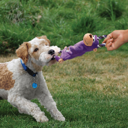 Kong Tugger Knots Monkey