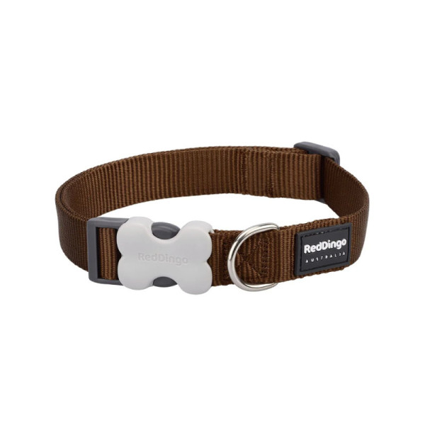 Red Dingo Coleira castanha