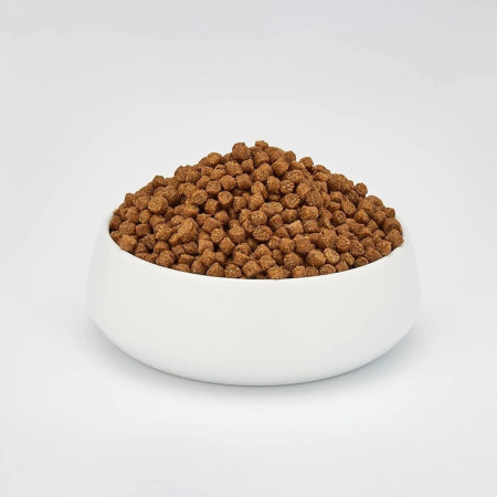 Schesir Gato Manutenção Frango