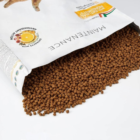 Schesir Gato Manutenção Frango