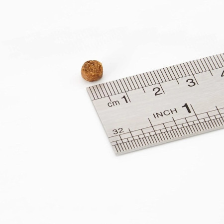 Schesir Gato Manutenção Frango