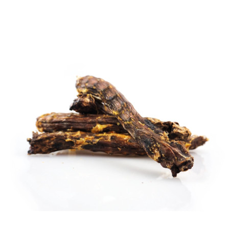 Loja do Cão Pescoço de Pato