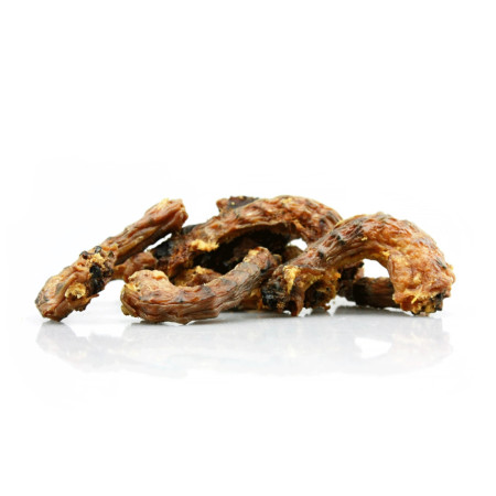 Loja do Cão Pescoço de Galinha