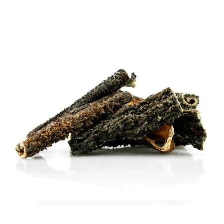 Tripa natural de vaca snack dental 100% natural