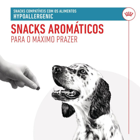 Royal Canin Vet Biscoitos para cão Hypoallergenic