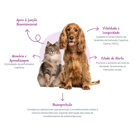 FeelSenior Pasta Oral