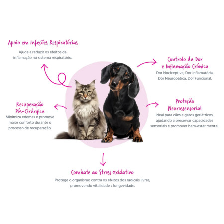 FeelGood Comprimidos