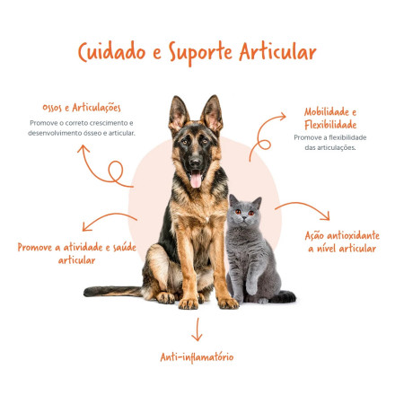 FeelCondro Comprimidos - Cuidado Suporte Articular