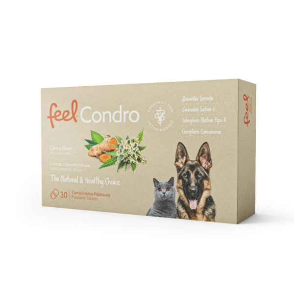 FeelCondro Comprimidos - Cuidado Suporte Articular