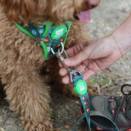 Dukier Peitoral para cão Trail Scouts