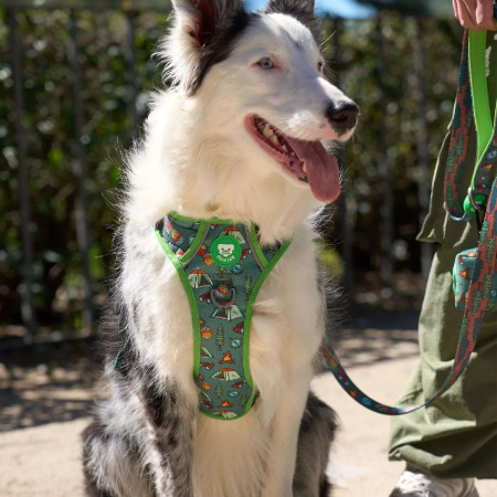 Dukier Peitoral para cão Trail Scouts