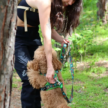 Dukier Trela para cão Scouts
