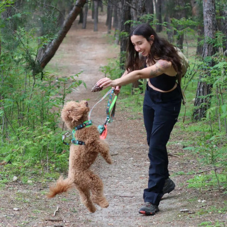 Dukier Trela para cão Scouts