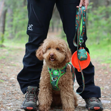 Dukier Trela para cão Scouts