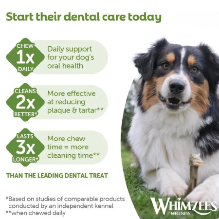 Whimzees Daily Dental Alligator