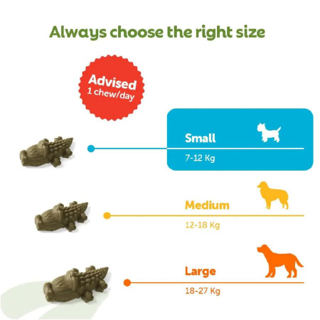 Whimzees Daily Dental Alligator