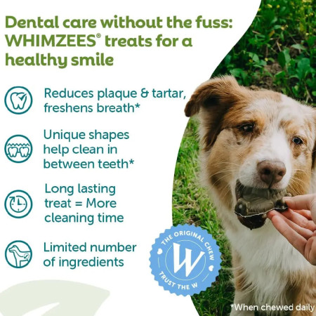 Whimzees Daily Dental Alligator