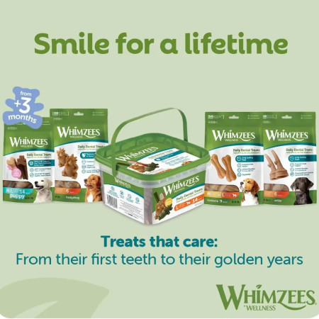 Whimzees Daily Dental Alligator