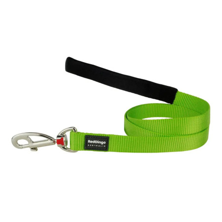 Red Dingo Trela 20 mm verde lima