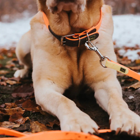 Hunter Coleira BASIC Convenience laranja