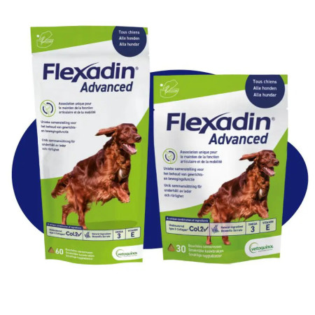 Vétoquinol Flexadin Advanced para cão - Melhor preço de mercado