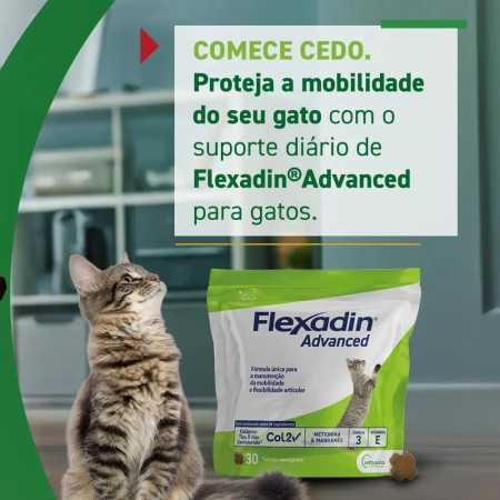 Vétoquinol Flexadin Advanced - proteja as articulações do seu gato