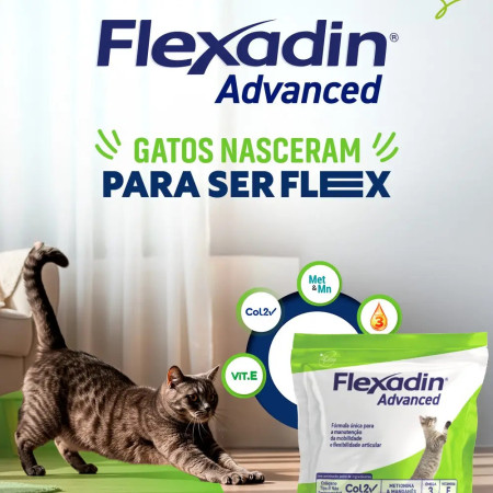 Vétoquinol Flexadin Advanced - proteja as articulações do seu gato