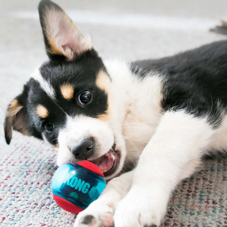 Kong Squeezz Action Ball