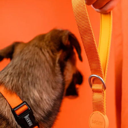 Dashi Trela Solid 15 mm laranja