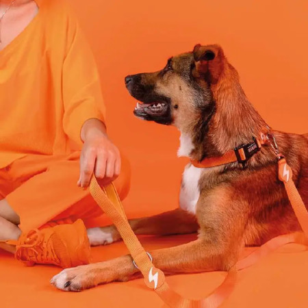 Dashi Trela Solid 25 mm laranja