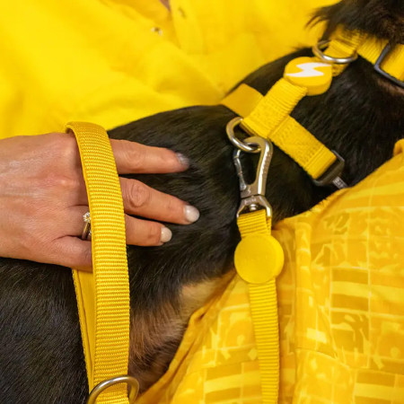 Dashi Trela Solid 25 mm amarela