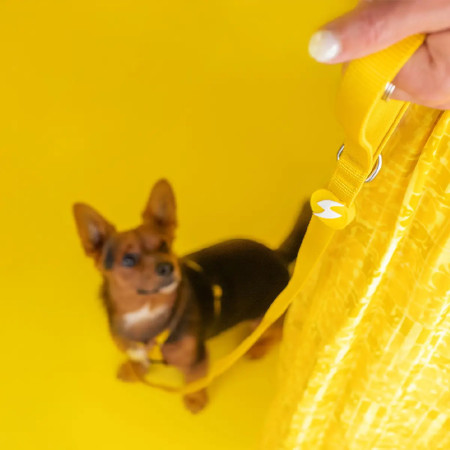 Dashi Trela Solid 25 mm amarela