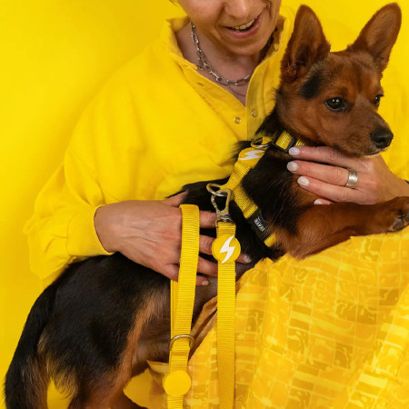 Dashi Trela Solid 25 mm amarela