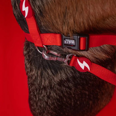 Dashi Trela Solid 25 mm vermelha