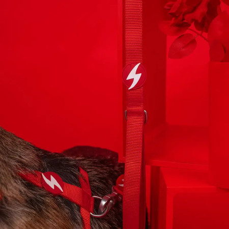 Dashi Trela Solid 25 mm vermelha