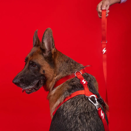 Dashi Trela Solid 25 mm vermelha