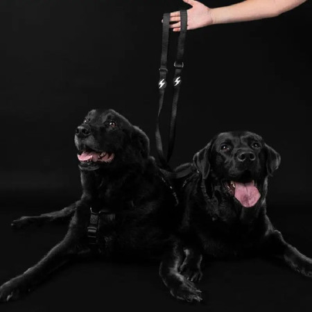 Dashi Trela Solid 25 mm preta