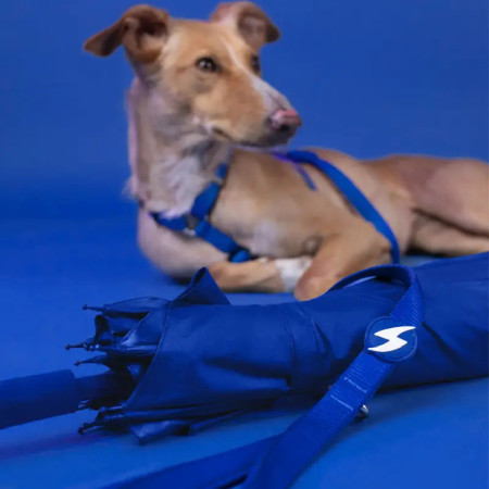 Dashi Trela Solid 25 mm azul