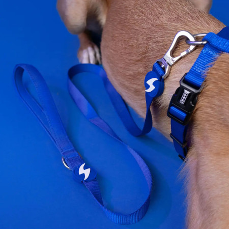 Dashi Trela Solid 25 mm azul