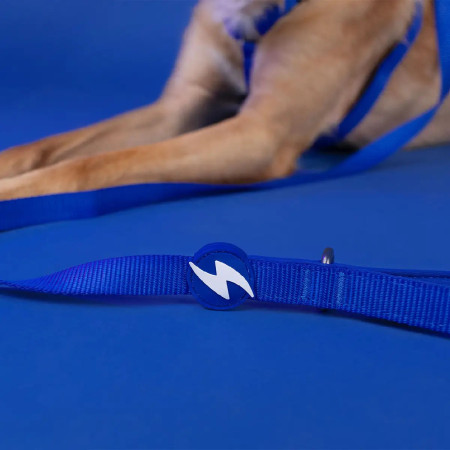 Dashi Trela Solid 15 mm azul