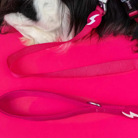 Dashi Trela Solid 15 mm rosa