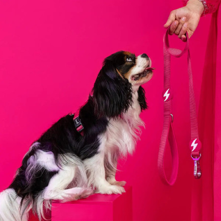 Dashi Trela Solid 15 mm rosa