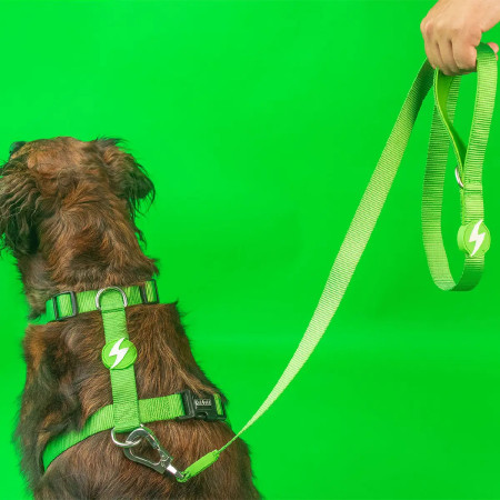 Dashi Trela Solid 15 mm verde