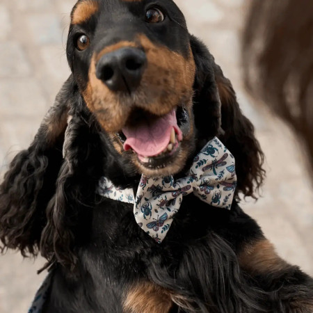 Dukier Coleira para cão Bug